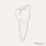minimal-tooth-line-art-tattoo-illustration-in-one-line