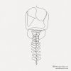one-line-abstract-tattoo-line-art-of-skull-skeleton-and-mininal