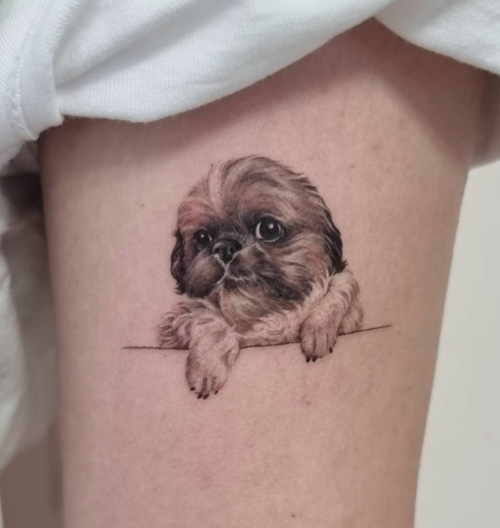minimal detail dog with border tattoo