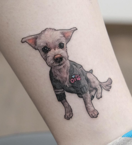 small dog tattoo with jacket